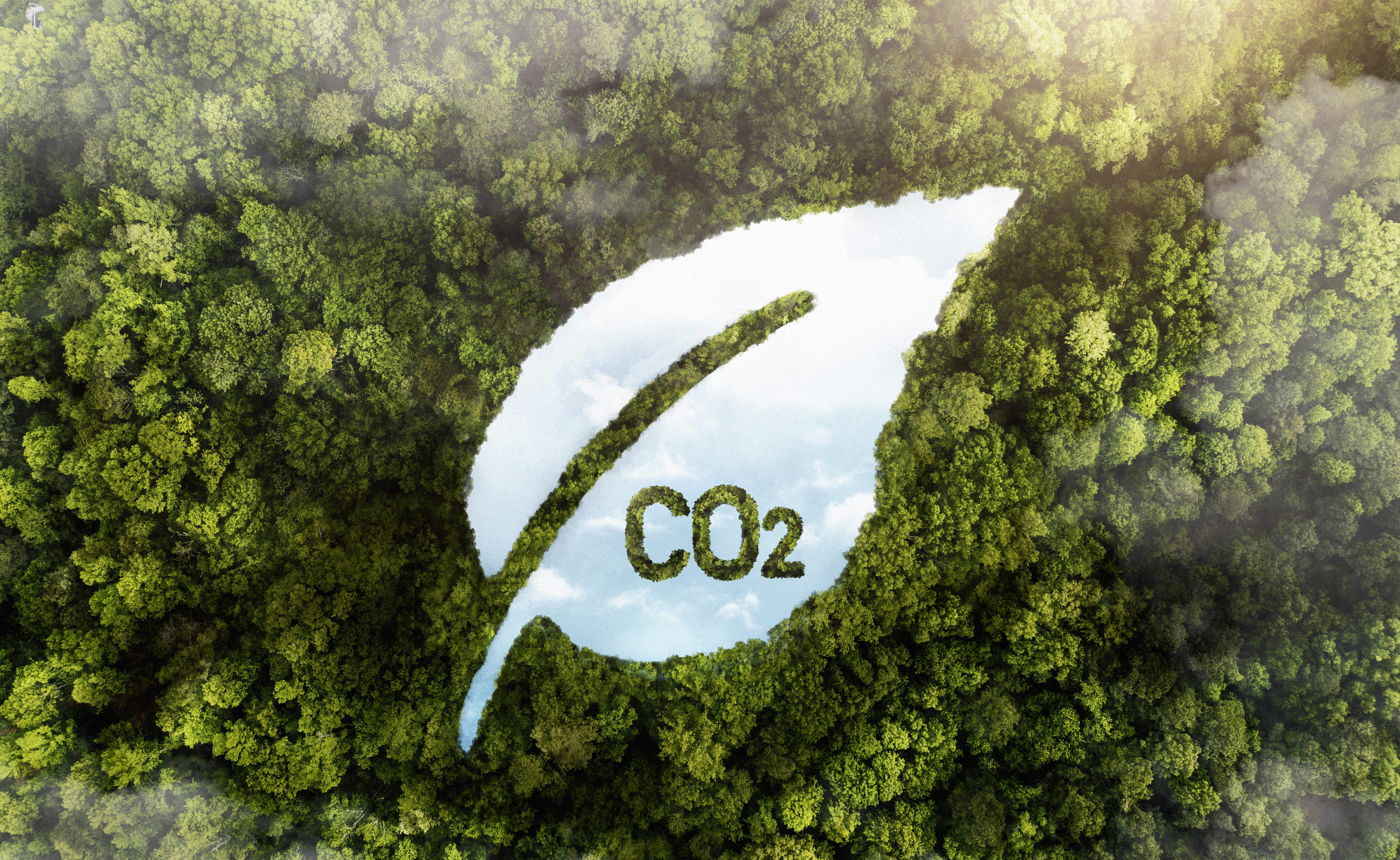 blog_images/creditos-de-carbono/creditos-carbono_1.jpg